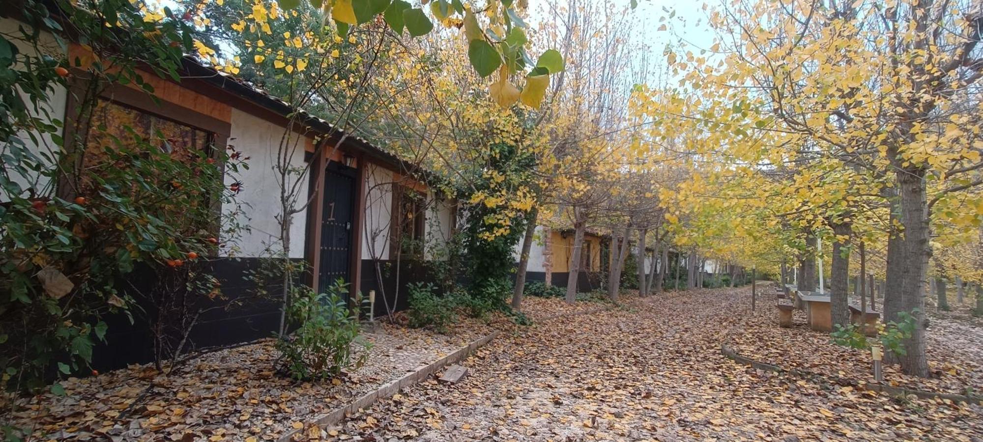Casas Rurales Vado Del Rio Tus Cortijo Prados Ngoại thất bức ảnh